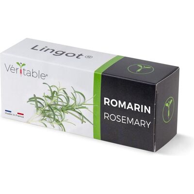 Véritable, Samen, Rosmarin (Kräutersamen) Véritable, Samen, Rosmarin (Kräutersamen)