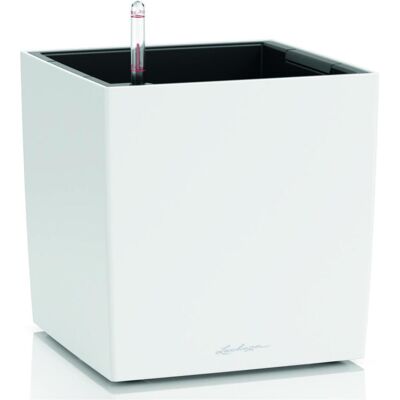 Lechuza, Blumentopf, Bewässerungsset CUBE Color 30 Weiss (32 x 32 x 31.50 cm) Lechuza, Blumentopf, Bewässerungsset CUBE Color 30 Weiss (32 x 32 x 31.50 cm)