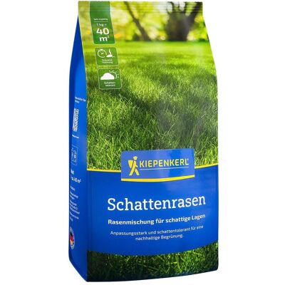 Kiepenkerl, Samen, Schattenrasen, 1 kg (Rasensamen) Kiepenkerl, Samen, Schattenrasen, 1 kg (Rasensamen)