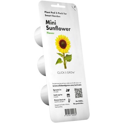 Click and Grow, Samen, Click & Grow - Smart Garden Refill 3-pack - Mini sunflower, 100% pollen-free and easy (Blumensamen) Click and Grow, Samen, Click & Grow - Smart Garden Refill 3-pack - Mini sunflower, 100% pollen-free and easy (Blumensamen)
