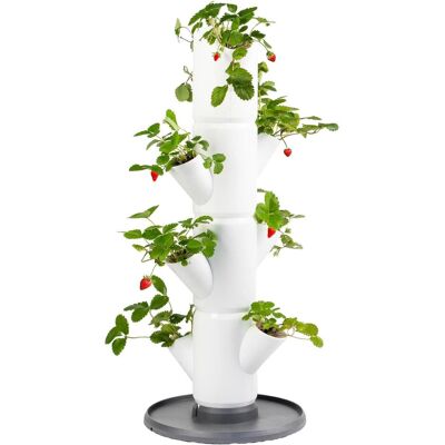 Gusta Garden, Blumentopf, Sisi Strawberry (27 x 27 x 77 cm) Gusta Garden, Blumentopf, Sisi Strawberry (27 x 27 x 77 cm)