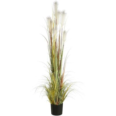Mica Decorations, Kunstpflanzen, Mica Kunstpflanze Federgras Foxtail im Topf (180 cm) Mica Decorations, Kunstpflanzen, Mica Kunstpflanze Federgras Foxtail im Topf (180 cm)