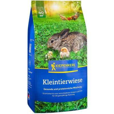 Kiepenkerl, Samen, Kleintierwiese (Rasensamen) Kiepenkerl, Samen, Kleintierwiese (Rasensamen)
