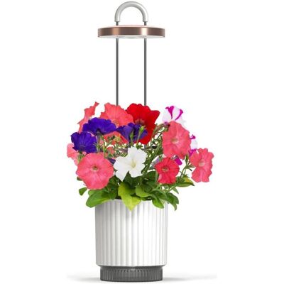 Click and Grow, Indoor Growing Bewässerung, Click & Grow - HydroVase - Weiss Click and Grow, Indoor Growing Bewässerung, Click & Grow - HydroVase - Weiss