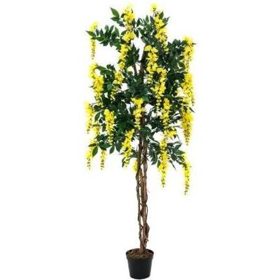 Europalms, Kunstpflanzen, Goldregenbaum, Kunstpflanze, gelb, 180cm (180 cm) Europalms, Kunstpflanzen, Goldregenbaum, Kunstpflanze, gelb, 180cm (180 cm)