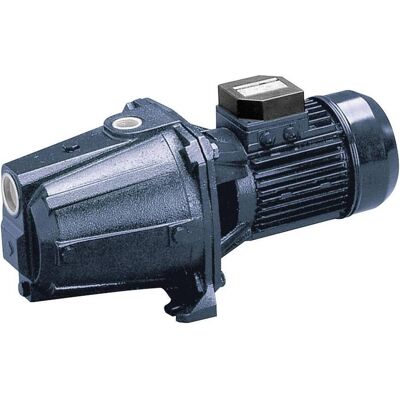 Ebara, Wasserpumpe, AGA 3.00 T (TÜV) 1110300004I Kreiselpumpe 7500 l/h 7.2 m (1110300004I) (Gartenpumpe) Ebara, Wasserpumpe, AGA 3.00 T (TÜV) 1110300004I Kreiselpumpe 7500 l/h 7.2 m (1110300004I) (Gartenpumpe)