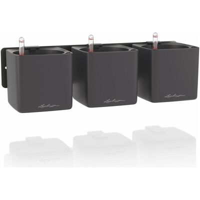Lechuza, Blumentopf, Bewässerungsset Green Wall Home Kit Basaltgrau matt (14 x 48 x 10 cm) Lechuza, Blumentopf, Bewässerungsset Green Wall Home Kit Basaltgrau matt (14 x 48 x 10 cm)