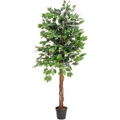 Europalms Ficus-Benjamini Monivarsinen - Kunstpflanze - 150cm Europalms Ficus-Benjamini Monivarsinen - Kunstpflanze - 150cm