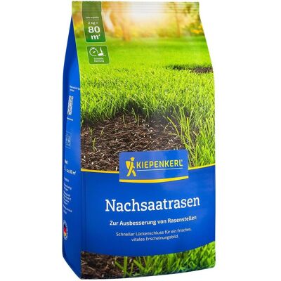 Kiepenkerl, Samen, Nachsaatrasen, 2 kg (Rasensamen) Kiepenkerl, Samen, Nachsaatrasen, 2 kg (Rasensamen)