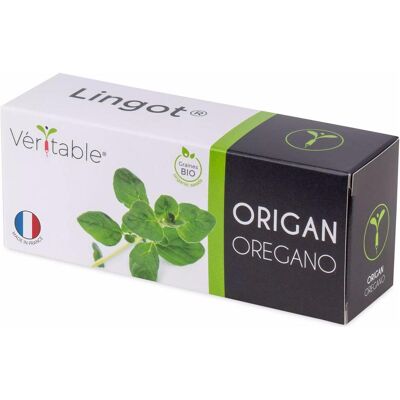 Véritable, Samen, Bio-Oregano (Kräutersamen) Véritable, Samen, Bio-Oregano (Kräutersamen)