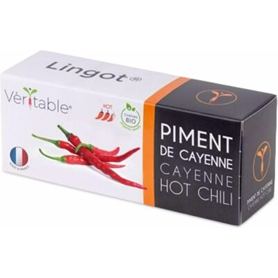 Véritable, Samen, Lingot Cayenne Chili BIO (Früchtesamen) Véritable, Samen, Lingot Cayenne Chili BIO (Früchtesamen)