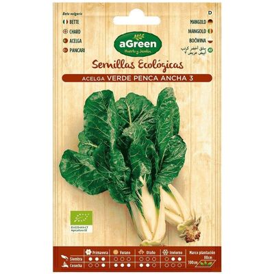 Agreen, Samen, Saatgutumschlag Öko-Mangold. (Gemüsesamen) Agreen, Samen, Saatgutumschlag Öko-Mangold. (Gemüsesamen)