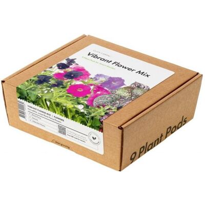 Click and Grow, Samen, Smart Garden Refill 9-pack Vibrant Flower Mix (Blumensamen) Click and Grow, Samen, Smart Garden Refill 9-pack Vibrant Flower Mix (Blumensamen)