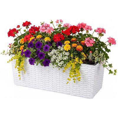 Relaxdays, Blumentopf, Balkonkasten (19 x 50 x 19 cm) Relaxdays, Blumentopf, Balkonkasten (19 x 50 x 19 cm)