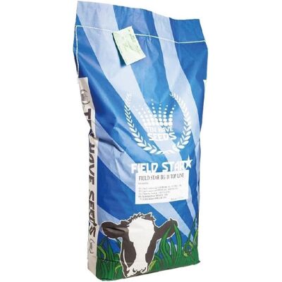 Ten Have Seeds, Samen, Graszaad Field Star (Weidegras 11) - 15 Kg (Rasensamen) Ten Have Seeds, Samen, Graszaad Field Star (Weidegras 11) - 15 Kg (Rasensamen)