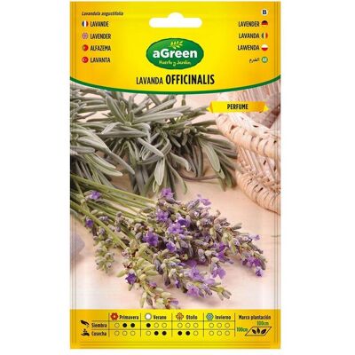 Agreen, Samen, On seeds lavender officinalis 301031bolsh (Kräutersamen) Agreen, Samen, On seeds lavender officinalis 301031bolsh (Kräutersamen)
