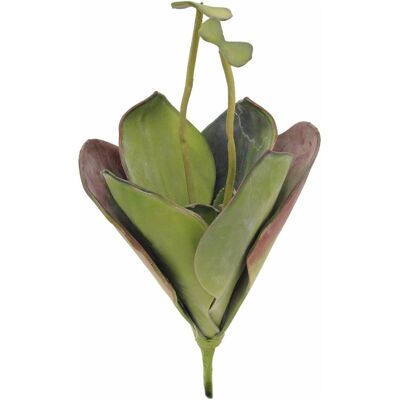 EUROPALMS Künstliche Seerose - Grün - 45cm EUROPALMS Künstliche Seerose - Grün - 45cm