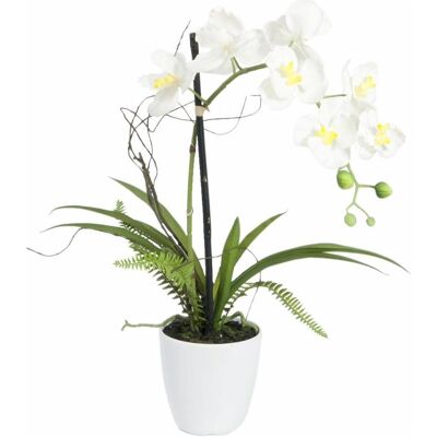 Europalms, Kunstpflanzen, WD-40 400 ml weisser Lithiumgeschmack (62 cm) Europalms, Kunstpflanzen, WD-40 400 ml weisser Lithiumgeschmack (62 cm)