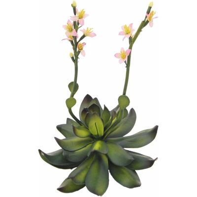 Europalms Rosa Steinrose - Künstliche Pflanze - 32cm - Für Innen & Außen Europalms Rosa Steinrose - Künstliche Pflanze - 32cm - Für Innen & Außen