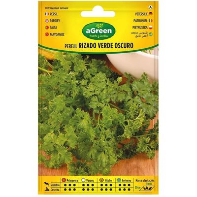 Agreen, Samen, Envelope with dark green curly parsley seeds (Kräutersamen) Agreen, Samen, Envelope with dark green curly parsley seeds (Kräutersamen)