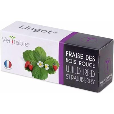 Véritable, Samen, Lingot Waldbeere rot BIO (Früchtesamen) Véritable, Samen, Lingot Waldbeere rot BIO (Früchtesamen)