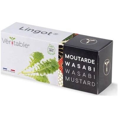 Véritable, Samen, Lingot Wasabi Mustard (Kräutersamen) Véritable, Samen, Lingot Wasabi Mustard (Kräutersamen)