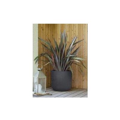 EDA - POT ROND BASALT UP - 67L - Anthrazit - Pot EDA - POT ROND BASALT UP - 67L - Anthrazit - Pot