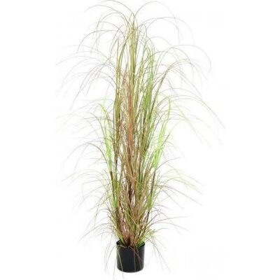 EUROPALMS Grass Bush - Künstlich, 150cm - Für Innen EUROPALMS Grass Bush - Künstlich, 150cm - Für Innen