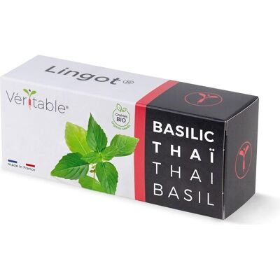 Véritable, Samen, 3760262511122 (Kräutersamen) Véritable, Samen, 3760262511122 (Kräutersamen)