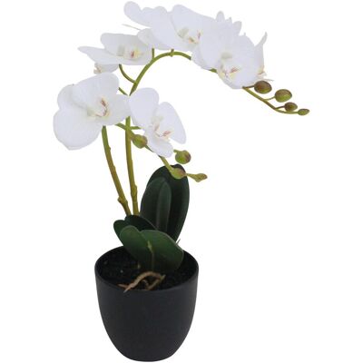 PAPERFLOW ORCHIDEE Kunstpflanze - 40 cm PAPERFLOW ORCHIDEE Kunstpflanze - 40 cm