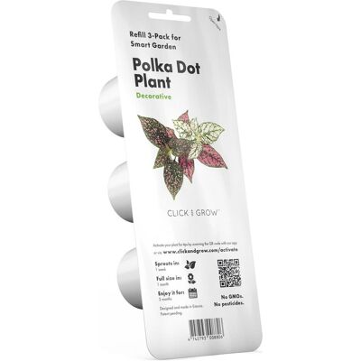 Click and Grow, Samen, Polka Punktblume Pflanzenschoten (Blumensamen) Click and Grow, Samen, Polka Punktblume Pflanzenschoten (Blumensamen)