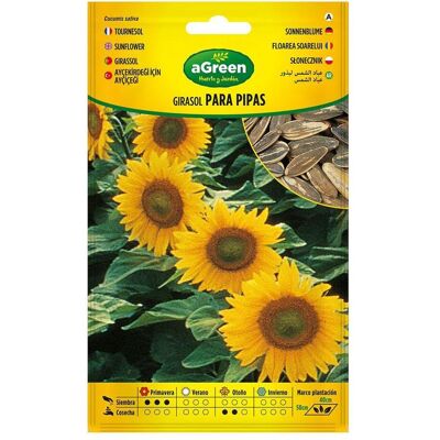 Agreen, Samen, Sunflower seeds for pipes 301024bolsh (Gemüsesamen) Agreen, Samen, Sunflower seeds for pipes 301024bolsh (Gemüsesamen)