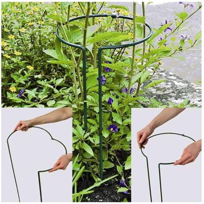 Siena Garden, Pflanzen Zubehör, Strauchstütze (55 cm, 20 cm) Siena Garden, Pflanzen Zubehör, Strauchstütze (55 cm, 20 cm)