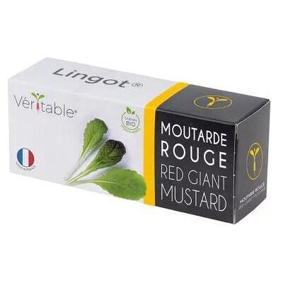 Véritable, Samen, Lingot Stiefmütterchen BIO Véritable, Samen, Lingot Stiefmütterchen BIO