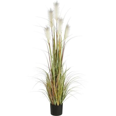 Mica Decorations, Kunstpflanzen, Mica Kunstpflanze Federgras Foxtail im Topf (150 cm) Mica Decorations, Kunstpflanzen, Mica Kunstpflanze Federgras Foxtail im Topf (150 cm)