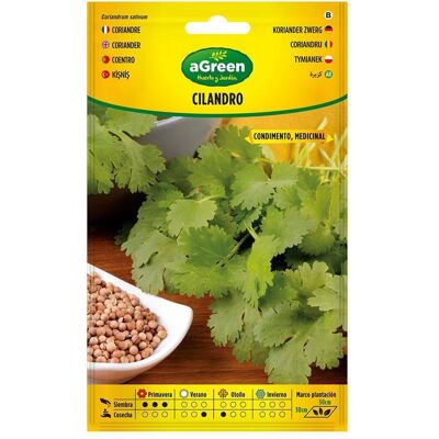 Agreen, Samen, About coriander seeds corianrum sativum 301015bolsh (Gemüsesamen) Agreen, Samen, About coriander seeds corianrum sativum 301015bolsh (Gemüsesamen)