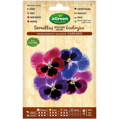 Agreen, Samen, Seed envelope pansy giant (Blumensamen) Agreen, Samen, Seed envelope pansy giant (Blumensamen)