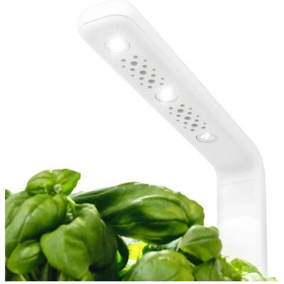 Click and Grow, Samen, Click and Grow- Smart Garden 3 Start kit (Color: Sage) (SGS13UNI) (Kräutersamen) Click and Grow, Samen, Click and Grow- Smart Garden 3 Start kit (Color: Sage) (SGS13UNI) (Kräutersamen)