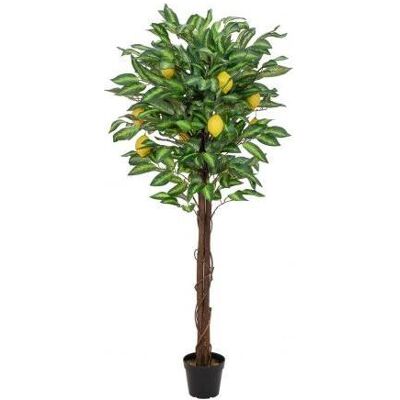 Europalms, Kunstpflanzen, Zitronenbaum, Kunstpflanze, 150cm (150 cm) Europalms, Kunstpflanzen, Zitronenbaum, Kunstpflanze, 150cm (150 cm)
