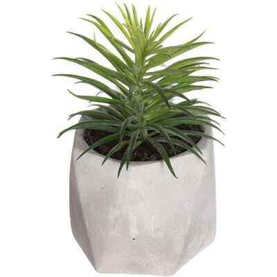 Atmosphera, Kunstpflanzen, Dekorationspflanze (14 cm) Atmosphera, Kunstpflanzen, Dekorationspflanze (14 cm)
