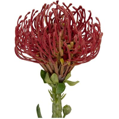 present time, Kunstpflanzen, Protea Flower Large (73.10 cm) present time, Kunstpflanzen, Protea Flower Large (73.10 cm)