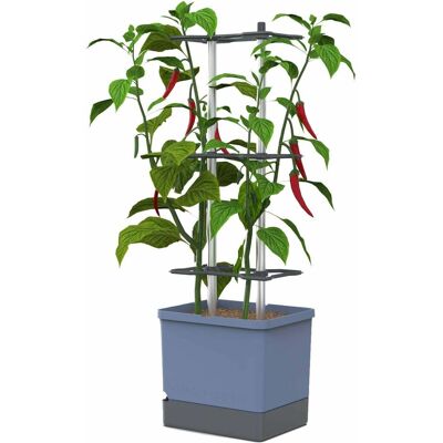 Gusta Garden, Anzuchttöpfe + Anzuchtschalen, Aufzuchttöpfe Charly Chili XL Blau Gusta Garden, Anzuchttöpfe + Anzuchtschalen, Aufzuchttöpfe Charly Chili XL Blau