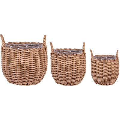 Beliani, Blumentopf, Aucuba (44 x 26 cm) Beliani, Blumentopf, Aucuba (44 x 26 cm)