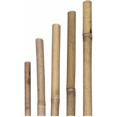 Siena Garden, Pflanzen Zubehör, Pflanzstab (93 cm, 40 cm) Siena Garden, Pflanzen Zubehör, Pflanzstab (93 cm, 40 cm)