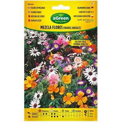 Agreen, Samen, About seeds mixed dwarf annual flowers 300593bolsh (Blumensamen) Agreen, Samen, About seeds mixed dwarf annual flowers 300593bolsh (Blumensamen)