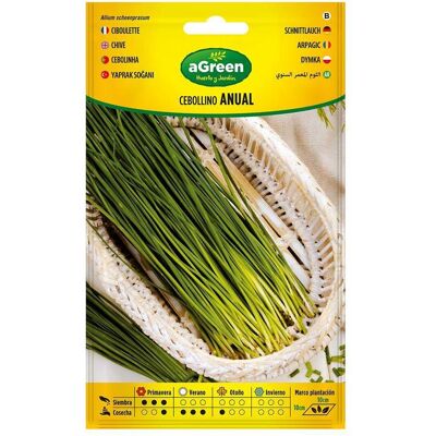 Agreen, Samen, On seeds annual chives 000239bolsh (Kräutersamen) Agreen, Samen, On seeds annual chives 000239bolsh (Kräutersamen)
