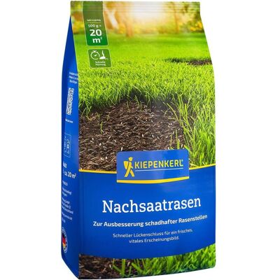 Kiepenkerl, Samen, Nachsaatrasen, 0,5 kg (Rasensamen) Kiepenkerl, Samen, Nachsaatrasen, 0,5 kg (Rasensamen)