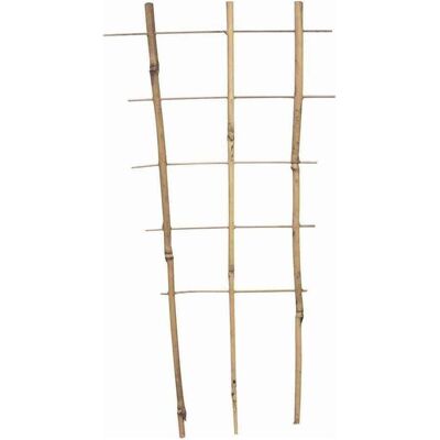 Siena Garden, Pflanzen Zubehör, Pflanzenhalter (30 cm, 17 cm) Siena Garden, Pflanzen Zubehör, Pflanzenhalter (30 cm, 17 cm)