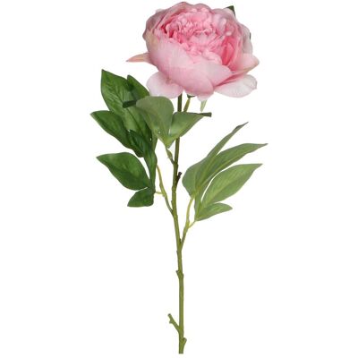 Mica Decorations, Kunstpflanzen, Kunstblume Pfingstrose Stängel rosa 76cm (14 cm) Mica Decorations, Kunstpflanzen, Kunstblume Pfingstrose Stängel rosa 76cm (14 cm)