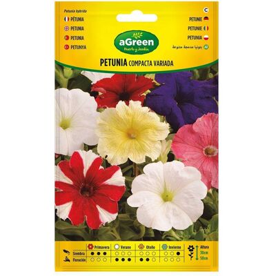 Agreen, Samen, About variety compact petunia seeds 300678bolsh (Blumensamen) Agreen, Samen, About variety compact petunia seeds 300678bolsh (Blumensamen)